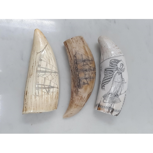 766 - An antique walrus tusk Tusk Scrimshaw carved with ship to one side and dolphin and mermaid to the ot... 