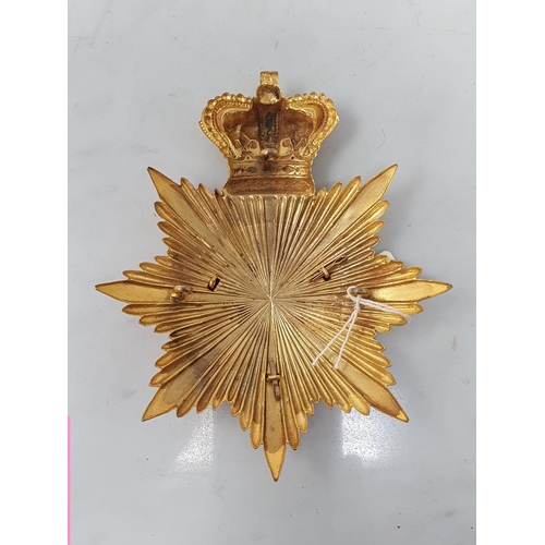 791 - A Royal Military College Officer Cadets Helmet Plate