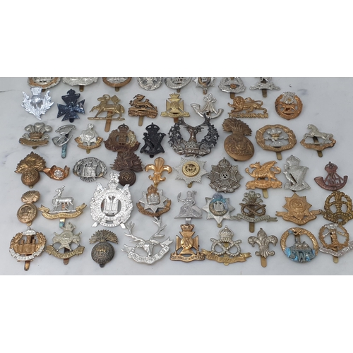 801 - A large collection of British Army Infantry Regiment Badges