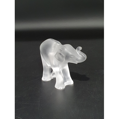 352 - A Lalique opalescent glass baby Elephant 'Timora' engraved Lalique France to foot, 3 1/2in high