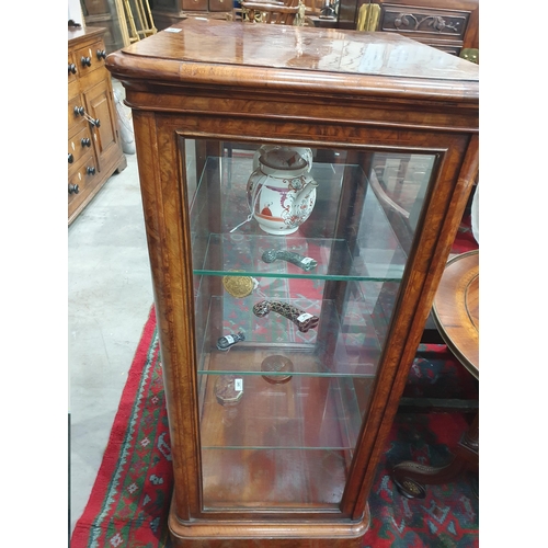 525 - A good quality late Victorian burr walnut Display Cabinet with moulded top above a single glazed doo... 