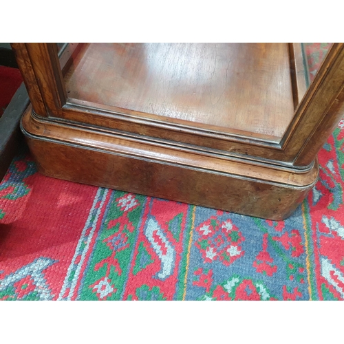 525 - A good quality late Victorian burr walnut Display Cabinet with moulded top above a single glazed doo... 