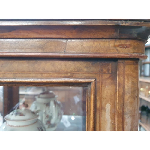 525 - A good quality late Victorian burr walnut Display Cabinet with moulded top above a single glazed doo... 