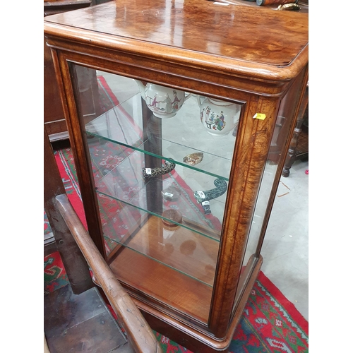 525 - A good quality late Victorian burr walnut Display Cabinet with moulded top above a single glazed doo... 