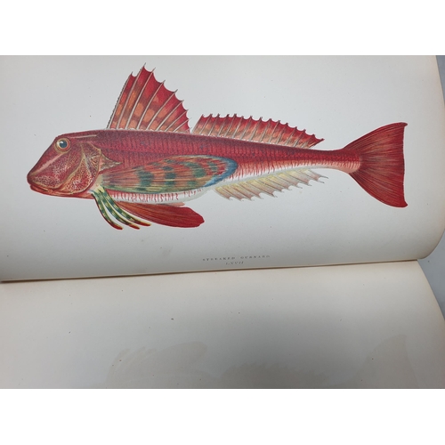 39 - COUCH, Jonathan F.L.S.; A History of Fishes of the British Isles, 4 Vols., printed by Groombridge & ... 