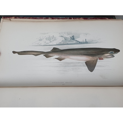 39 - COUCH, Jonathan F.L.S.; A History of Fishes of the British Isles, 4 Vols., printed by Groombridge & ... 