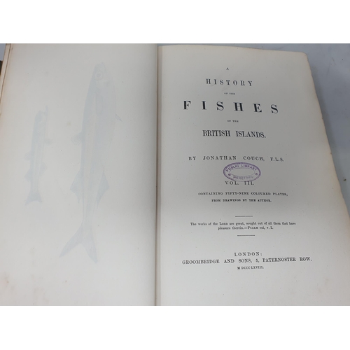 39 - COUCH, Jonathan F.L.S.; A History of Fishes of the British Isles, 4 Vols., printed by Groombridge & ... 