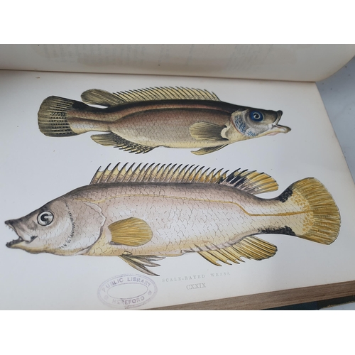 39 - COUCH, Jonathan F.L.S.; A History of Fishes of the British Isles, 4 Vols., printed by Groombridge & ... 