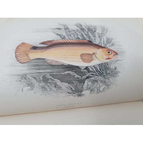 39 - COUCH, Jonathan F.L.S.; A History of Fishes of the British Isles, 4 Vols., printed by Groombridge & ... 