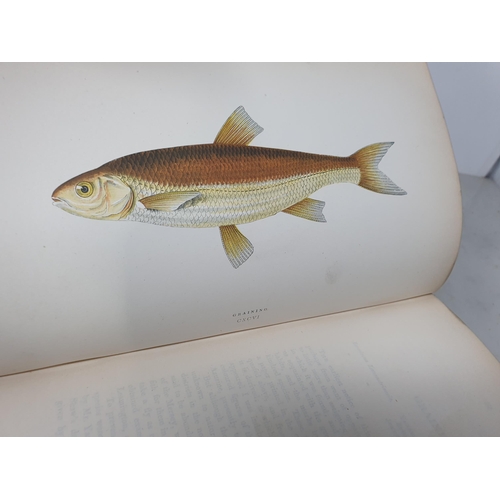 39 - COUCH, Jonathan F.L.S.; A History of Fishes of the British Isles, 4 Vols., printed by Groombridge & ... 