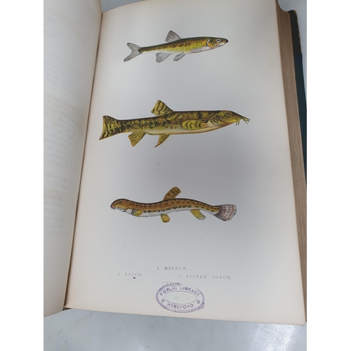 39 - COUCH, Jonathan F.L.S.; A History of Fishes of the British Isles, 4 Vols., printed by Groombridge & ... 