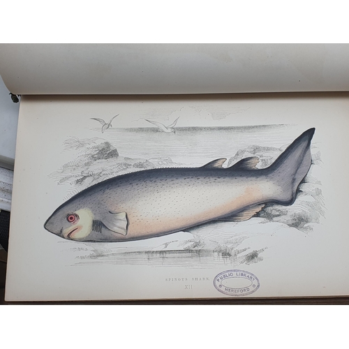 39 - COUCH, Jonathan F.L.S.; A History of Fishes of the British Isles, 4 Vols., printed by Groombridge & ... 