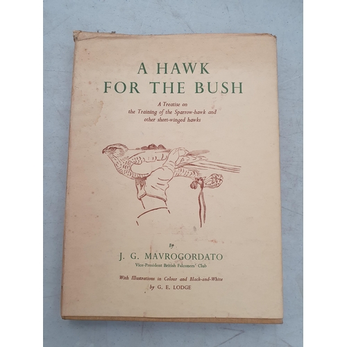 57 - Falconry; MAVROGORDATO, J.G, 'A Hawk for the Bush- A Treatise on the Training of the Sparrow-hawk an... 