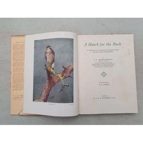 57 - Falconry; MAVROGORDATO, J.G, 'A Hawk for the Bush- A Treatise on the Training of the Sparrow-hawk an... 