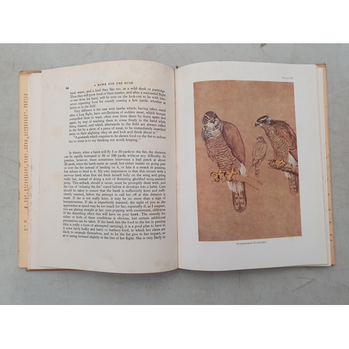 57 - Falconry; MAVROGORDATO, J.G, 'A Hawk for the Bush- A Treatise on the Training of the Sparrow-hawk an... 