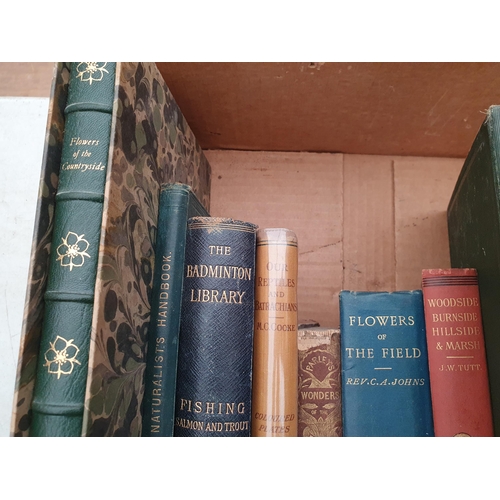 61 - Box of Books; Lepidoptery and Natural History including HULME, Edward, F. 'Butterflies & Moths of th... 