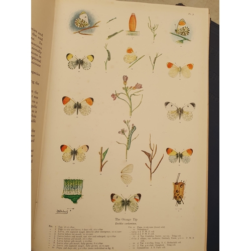 63 - FROHAWK, F.W, 'The Natural History of British Butterflies', 2 Vols, published by Hutchinson & Co., L... 