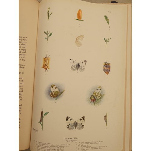 63 - FROHAWK, F.W, 'The Natural History of British Butterflies', 2 Vols, published by Hutchinson & Co., L... 