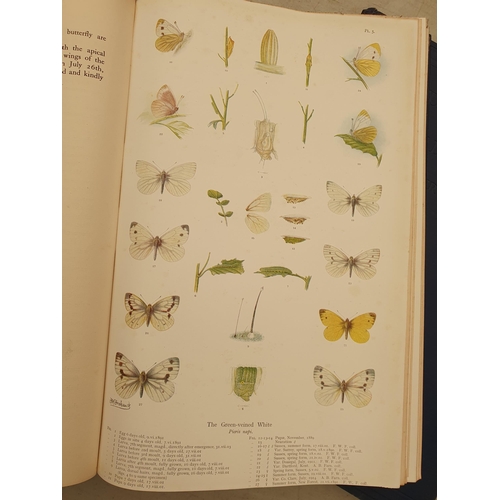 63 - FROHAWK, F.W, 'The Natural History of British Butterflies', 2 Vols, published by Hutchinson & Co., L... 