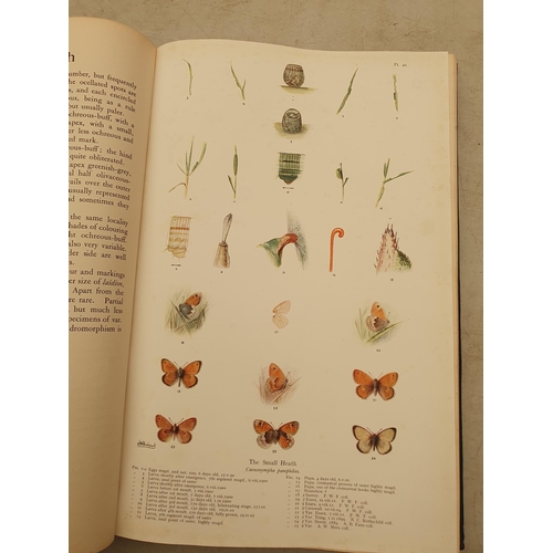 63 - FROHAWK, F.W, 'The Natural History of British Butterflies', 2 Vols, published by Hutchinson & Co., L... 