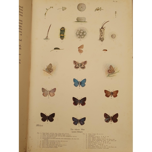 63 - FROHAWK, F.W, 'The Natural History of British Butterflies', 2 Vols, published by Hutchinson & Co., L... 