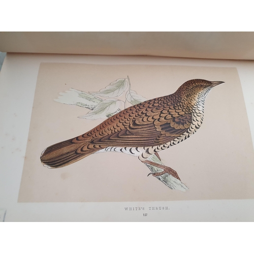 77 - MORRIS, Rev. F.O, 'A History of British Birds, 4 Vols, published by Groombridge and Sons, Paternoste... 