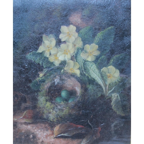 423 - ATTRIBUTED To WILLIAM CRUICKSHANK. A Still Life of Primroses and Birds nest on a bank, oil on canvas... 