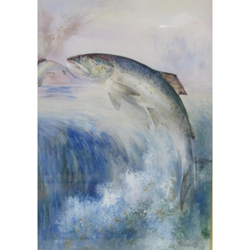 424 - WILLIAM E. POWELL. Salmon jumping a waterfall, signed and dated 27, watercolour heightened with whit... 