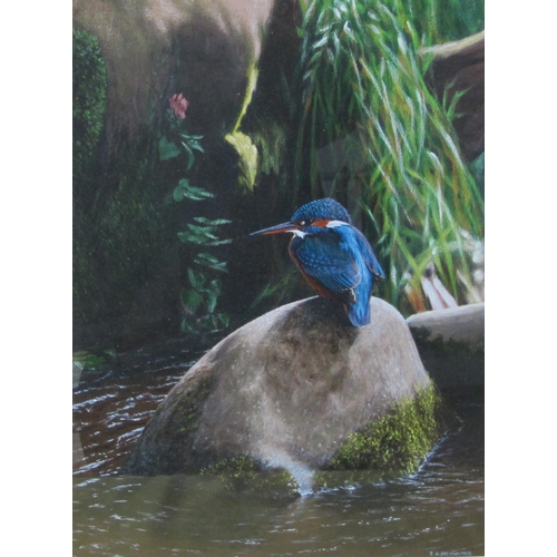 436 - I.R. PICKVANCE (?). A Kingfisher on a Rock, indistinctly signed,  mixed media on card, 15 x 11 in ; ... 