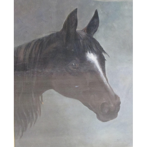 442 - ENGLISH SCHOOL, LATE 19th CENTURY. Head of a bay Horse; and Head of a chestnut Horse, oil on board, ... 