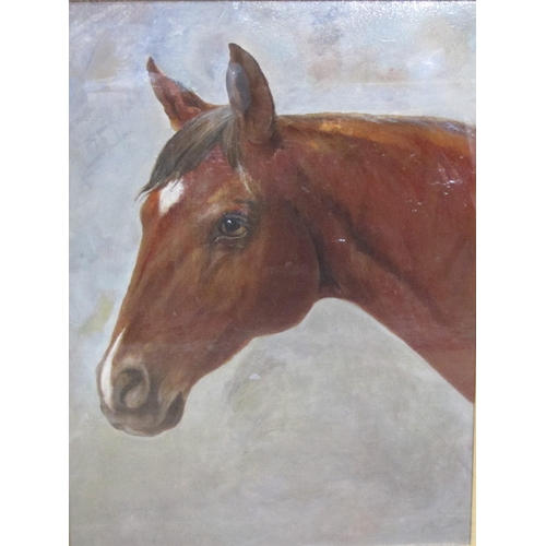 442 - ENGLISH SCHOOL, LATE 19th CENTURY. Head of a bay Horse; and Head of a chestnut Horse, oil on board, ... 