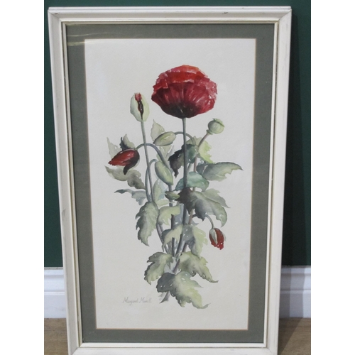 873 - MARGARET MERRITT. Poppy, signed, and  inscribed on artist's label verso, watercolour, 17 1/2 x 9 1/2... 