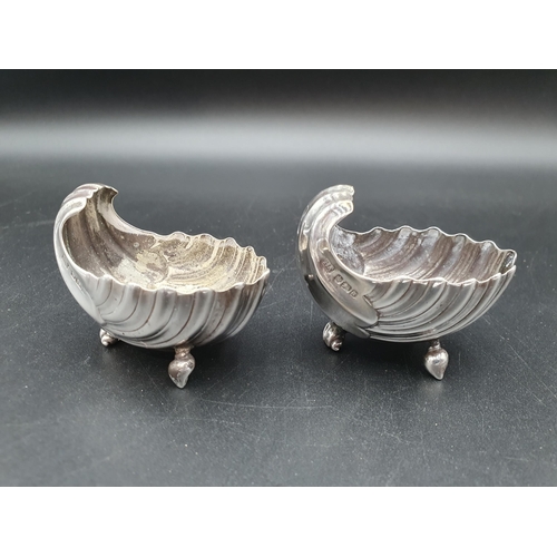 115 - A pair of Victorian silver scallop shape Salts on shell feet, Sheffield 1893