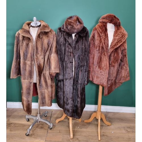 269 - A Fur Coat, possibly Musquash, another Fur Coat, a Fur Jacket and two Hats (R11)