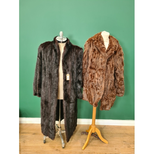 272 - A Saga Mink 3/4 length Coat and a fur Jacket