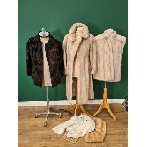 273 - A Fabian, Knightsbridge fur Gilet, A 3/4 length Fur Coat, a Fur Jacket and other items of Fur