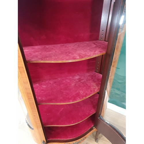 481 - A 19th century bow fronted inlaid display cabinet fitted three pink upholstered shelves 4ft 8