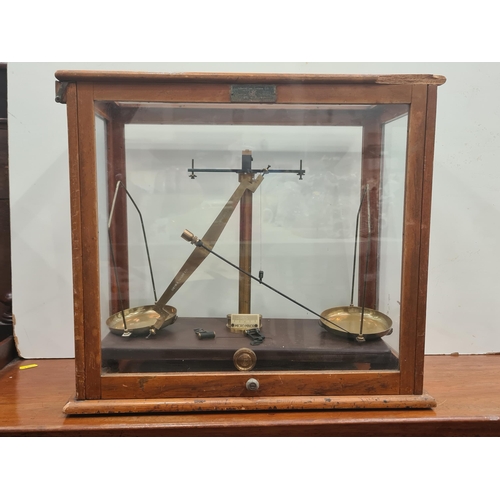 509 - A set of Balance Scales in glazed case 1ft 5in W x 1ft 4in H (R6)