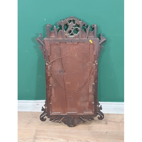 52 - A Georgian mahogany and walnut Wall Mirror with gilt slip and Hoho bird surmount and shaped surround... 