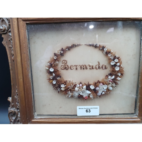 63 - A shell and coral Wreath centered 