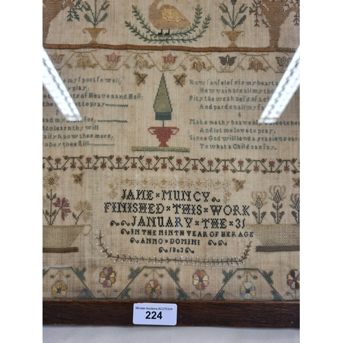 224 - A Georgian Sampler embroidered silk on tabby with verse among trees, flowers and birds, by Jane Munc... 