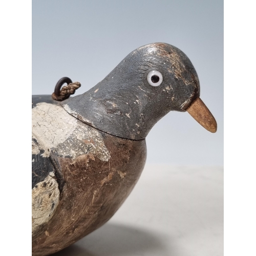 19 - A carved and painted English Pigeon Decoy with inset glass eyes and rig eyelets, with associated woo... 