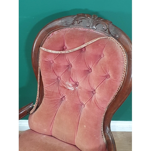 471 - Two Victorian mahogany framed spoon back Nursing Chairs both in pink upholstery, A/F. (R3)