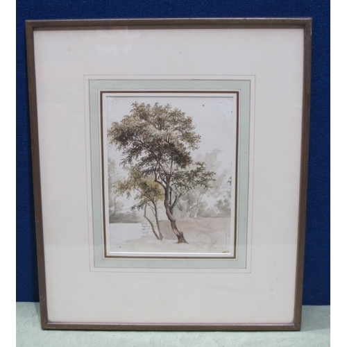 518 - JAMES STARK. A Study of Trees, pencil and watercolour, 9 x 6 1/2 in Provenance: with Thomas  Agnew; ... 