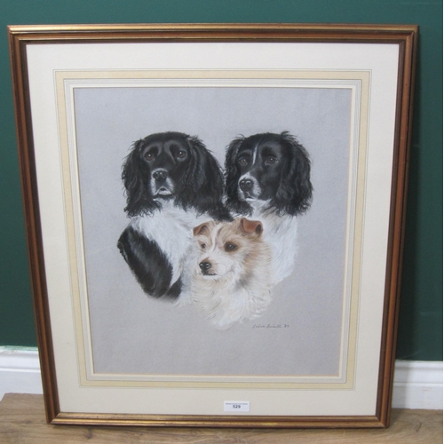 529 - SUSIE DE BOINVILLE. Head studies of Spaniels and a Terrier, signed and dated 1987, pastel 20 x 17 in... 