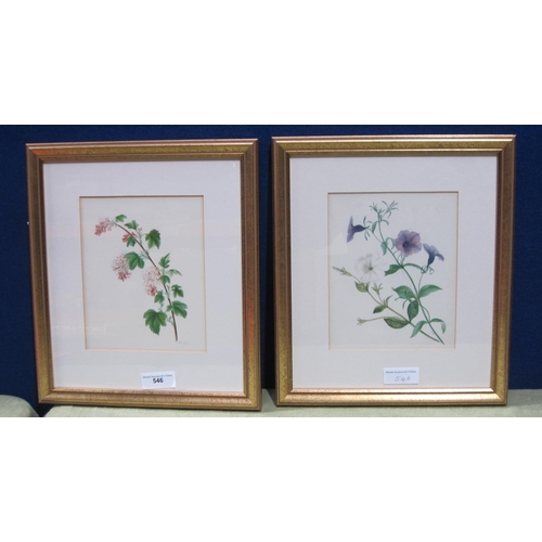 546 - RACHEL BINYON. Two  Botanical Studies , signed with initials and date 1840,watercolour, 8 x 6 1/2 in... 