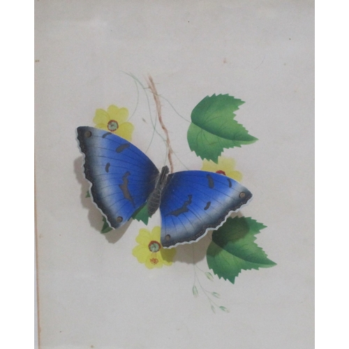 546 - RACHEL BINYON. Two  Botanical Studies , signed with initials and date 1840,watercolour, 8 x 6 1/2 in... 