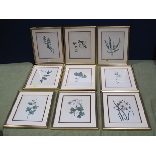 546 - RACHEL BINYON. Two  Botanical Studies , signed with initials and date 1840,watercolour, 8 x 6 1/2 in... 