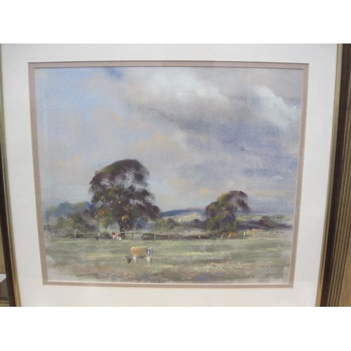 723 - JANE LAMPARD. 'Flooded Meadows near Cricklade', signed, pastel, 22 x 27 in; together with a seection... 