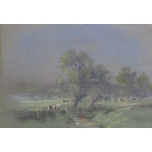 723 - JANE LAMPARD. 'Flooded Meadows near Cricklade', signed, pastel, 22 x 27 in; together with a seection... 